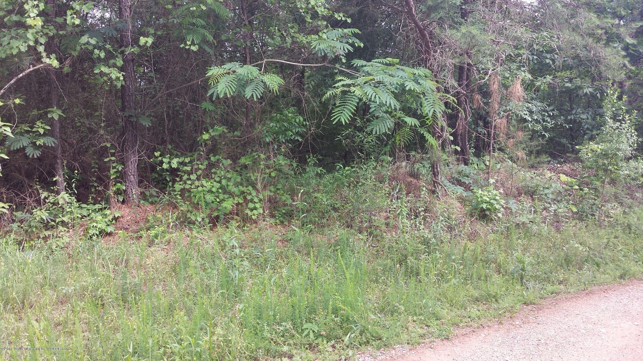 Deer Chase Road McCalla, AL 35111 - Photo 1 of 1 Gallery Image 1