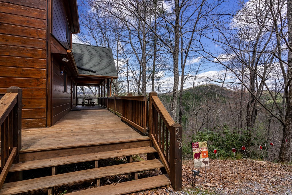 259 Toccoa Overlook Drive Blue Ridge, GA 30513 - Photo 8 of 57 Gallery Image 8