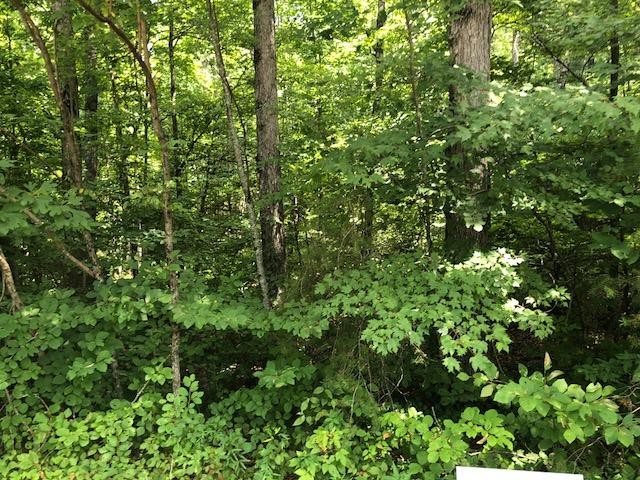 45 Cliff Park Road Monterey, TN 38574 - Photo 8 of 29 Gallery Image 8