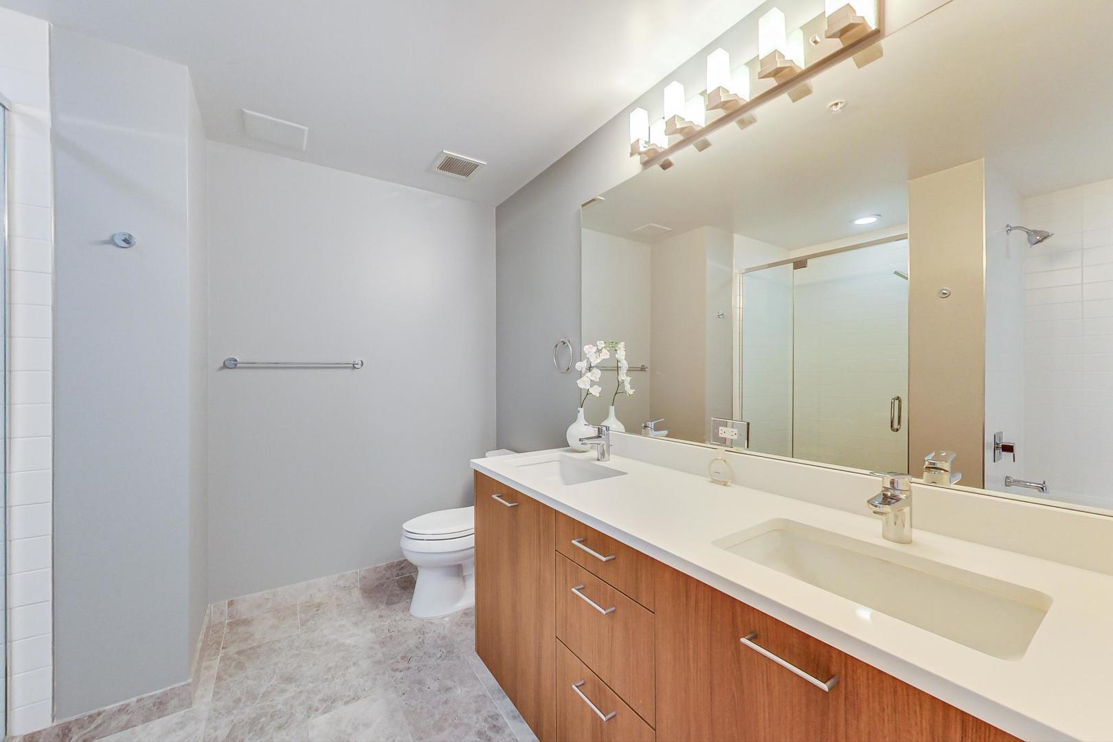 Undisclosed Address Chicago, IL 60616 - Photo 18 of 31 a bathroom with a sink a toilet a mirror and vanity