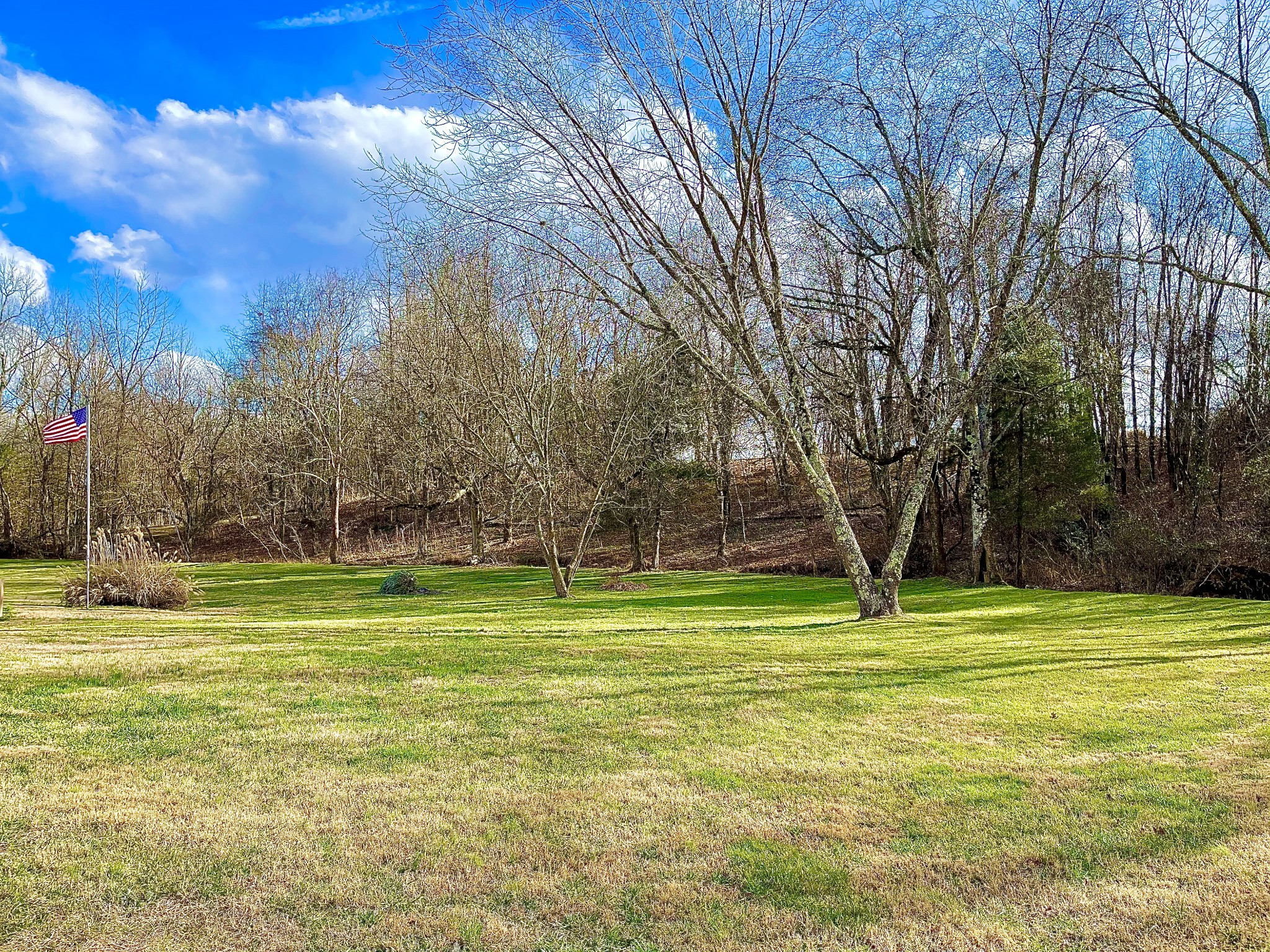 493 Calista Road White House, TN 37188 - Photo 2 of 26 Gallery Image 2
