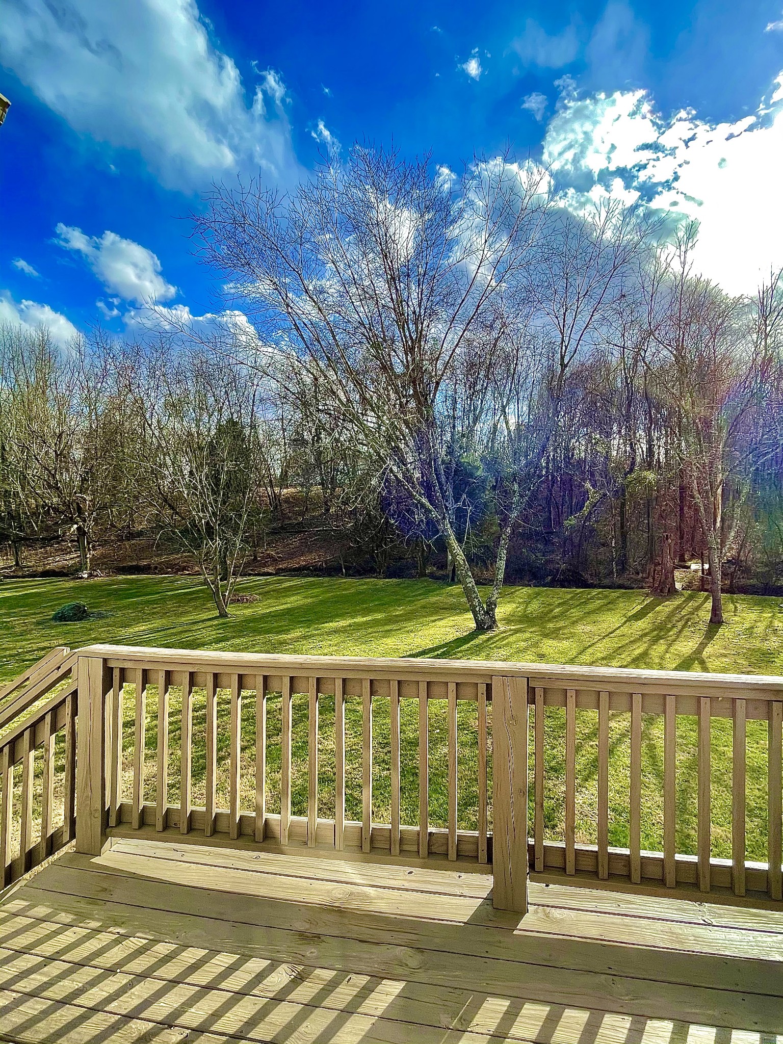 493 Calista Road White House, TN 37188 - Photo 3 of 26 Gallery Image 3