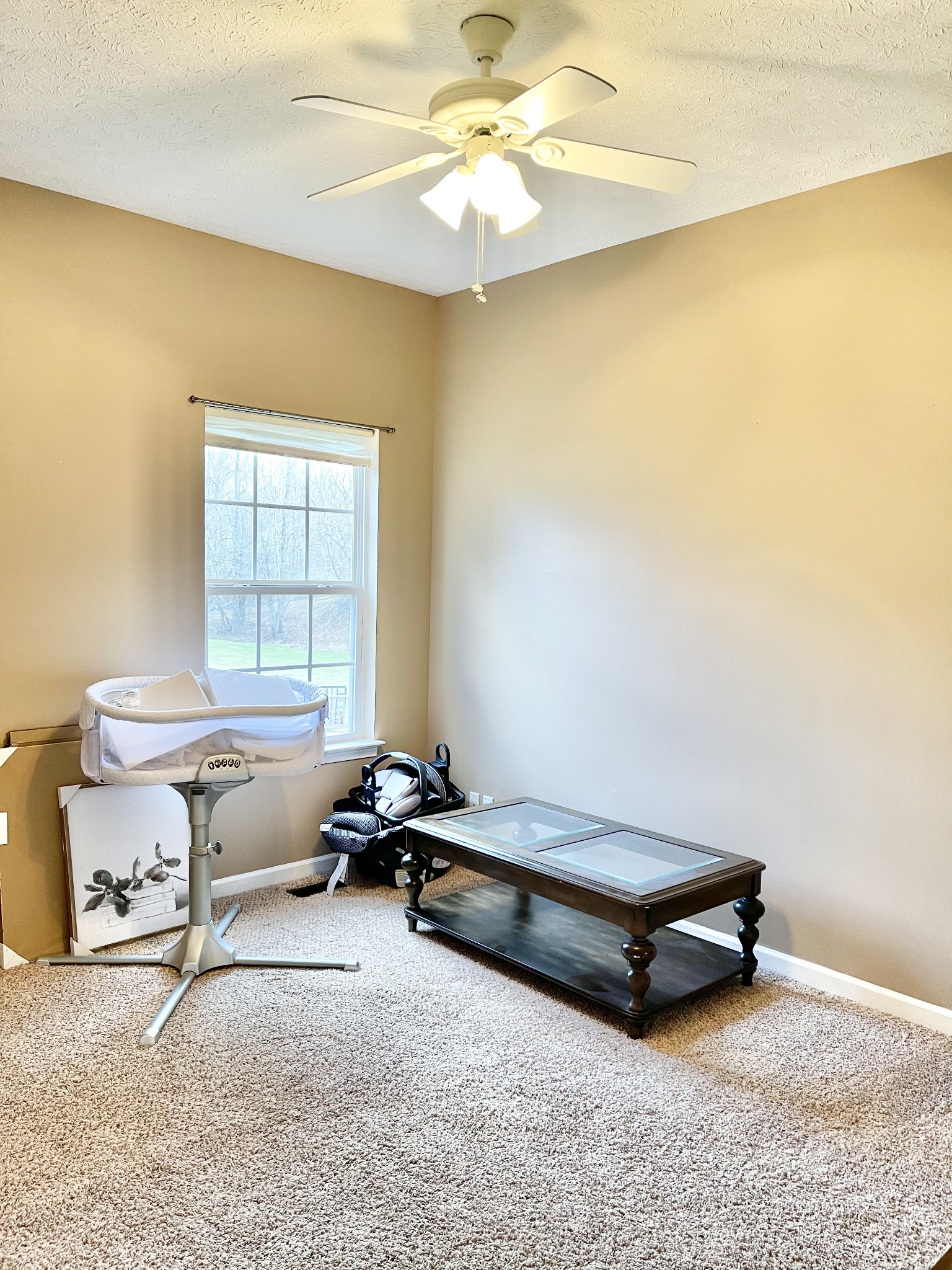493 Calista Road White House, TN 37188 - Photo 23 of 26 Gallery Image 23