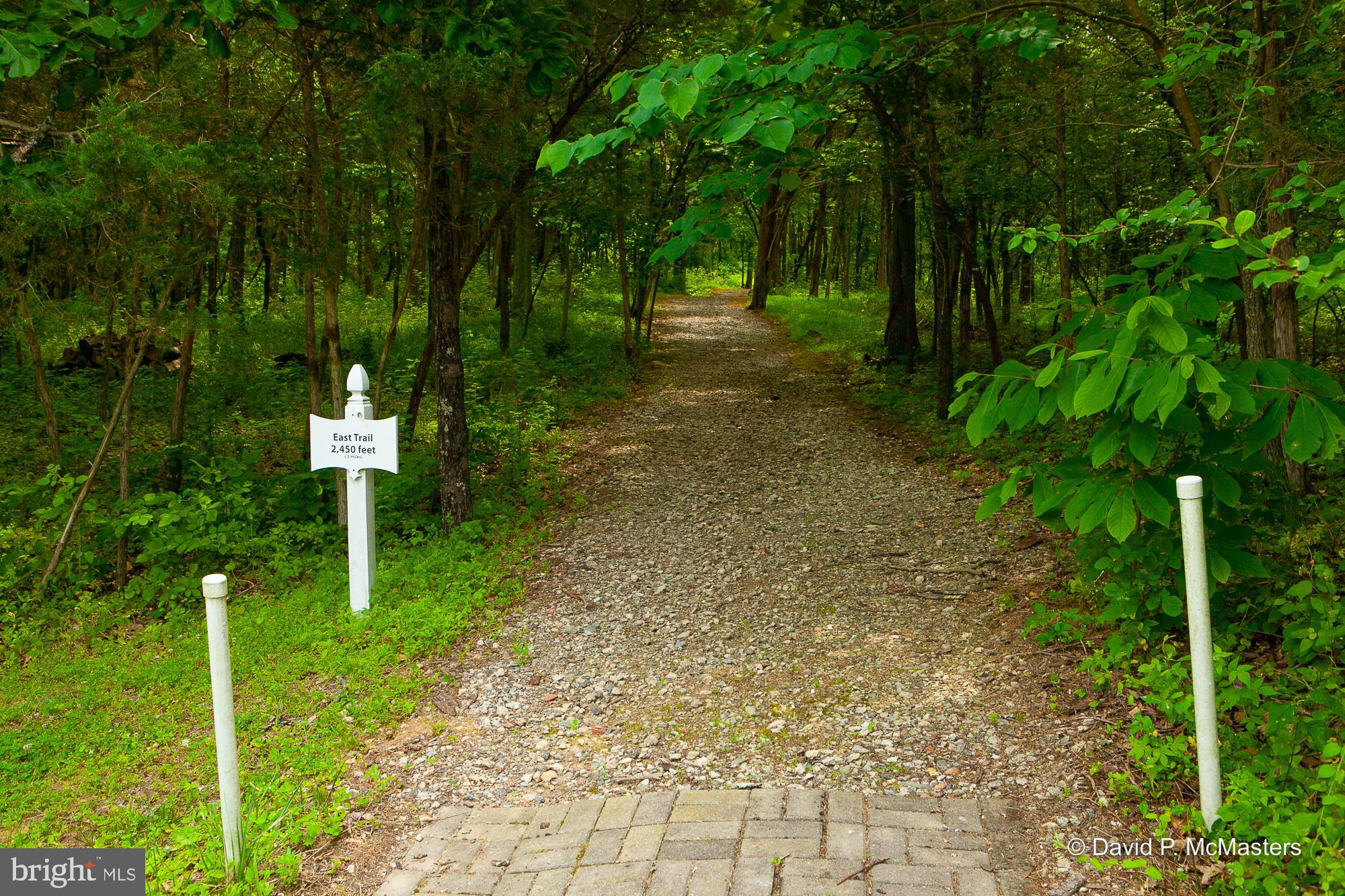Lot #2 Shepherds Cove Shepherdstown, WV 25443 - Photo 7 of 16 a backyard of a house with lots of green space