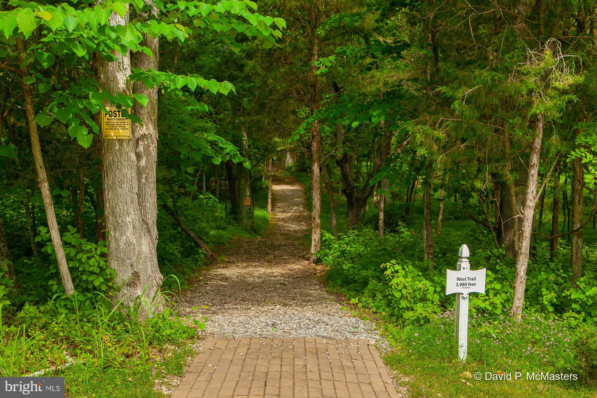 Lot #2 Shepherds Cove Shepherdstown, WV 25443 - Photo 8 of 16 a pathway of a park