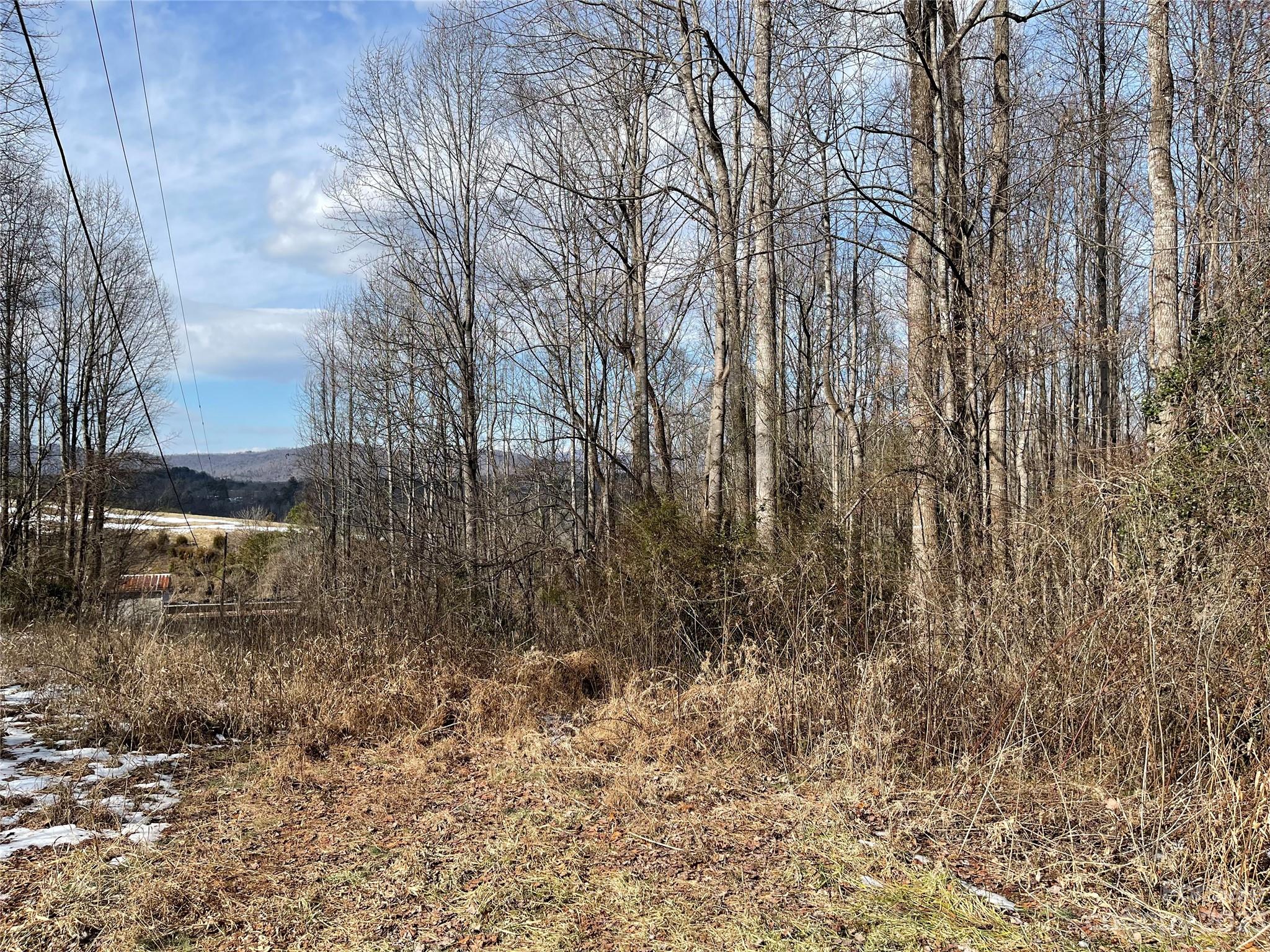 Tbd Traphill Road Hays, NC 28635 - Photo 1 of 25 Gallery Image 1