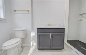a bathroom with a sink a toilet and vanity