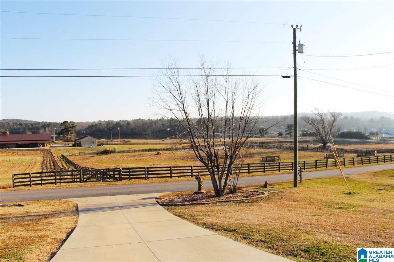 131 Eagle Cove Road Ohatchee, AL 36271 - Photo 14 of 14