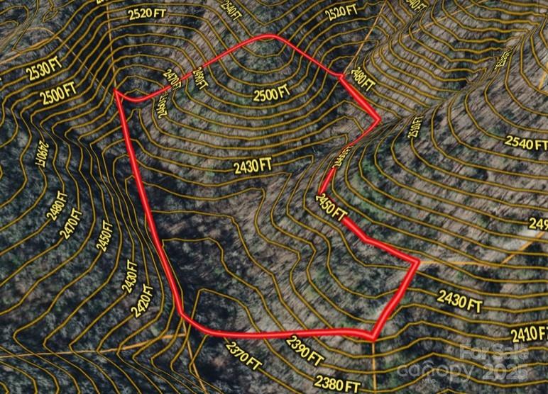 14 Johnny Farm Road Black Mountain, NC 28711 - Photo 12 of 14