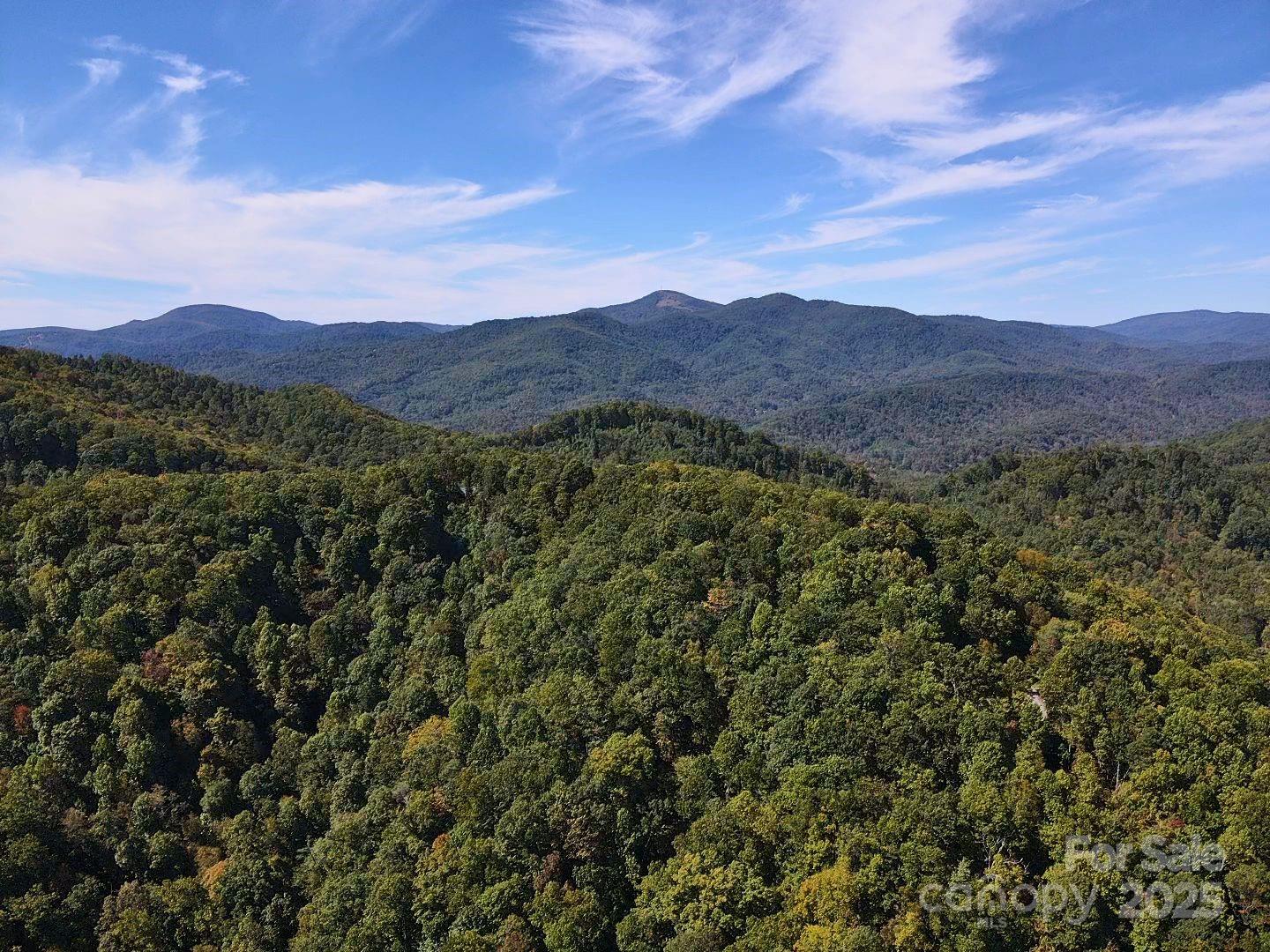 14 Johnny Farm Road Black Mountain, NC 28711 - Photo 14 of 14 a view of mountain and a mountain