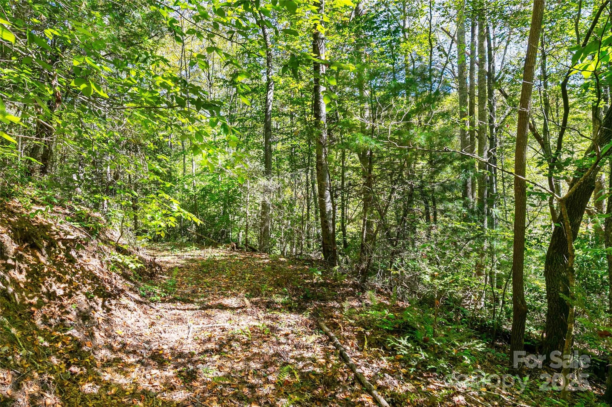 14 Johnny Farm Road Black Mountain, NC 28711 - Photo 6 of 14 a view of a yard with plants and trees