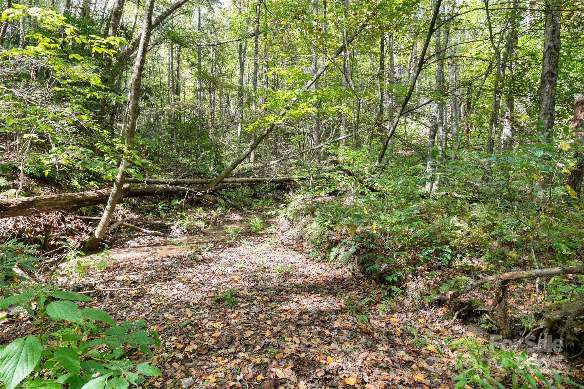 14 Johnny Farm Road Black Mountain, NC 28711 - Photo 7 of 14 a view of a yard with a tree