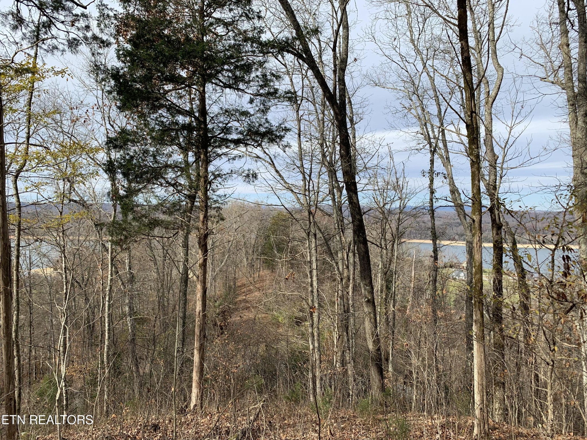 0 Russell Brothers Road Sharps Chapel, TN 37866 - Photo 6 of 7 Gallery Image 6