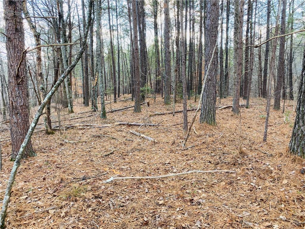 1936 Little Refuge Road Waleska, GA 30183 - Photo 1 of 1