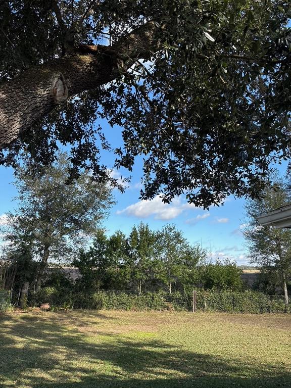 21425 Southwest Plantation Street Dunnellon, FL 34431 - Photo 52 of 54 a view of a tree with a yard