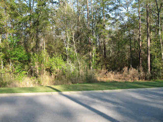 0 Sandy Ford Road Fairhope, AL 36532 - Photo 1 of 1