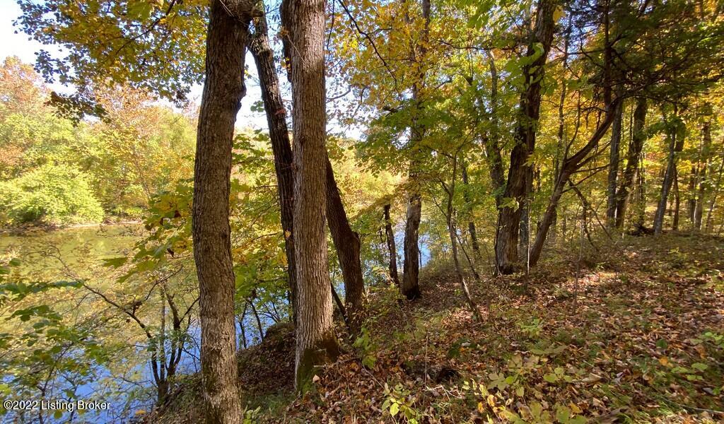 L78 Ted Logsdon Road Clarkson, KY 42726 - Photo 1 of 14 River View Fall205