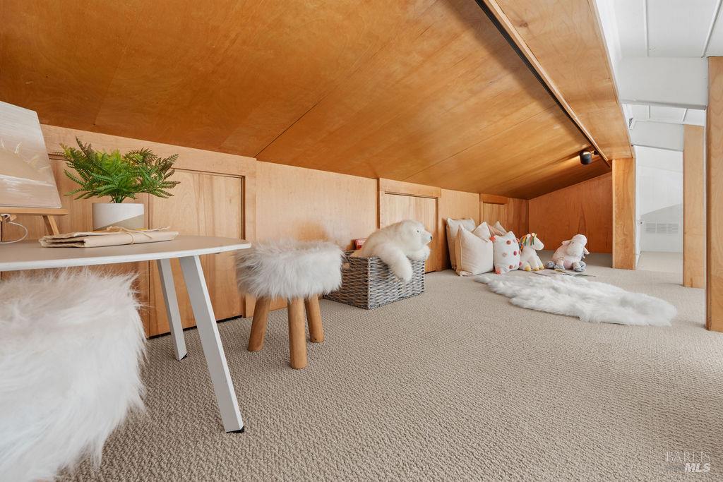 251 Flamingo Road Mill Valley, CA 94941 - Photo 26 of 62 A Loft for Play + Storage
