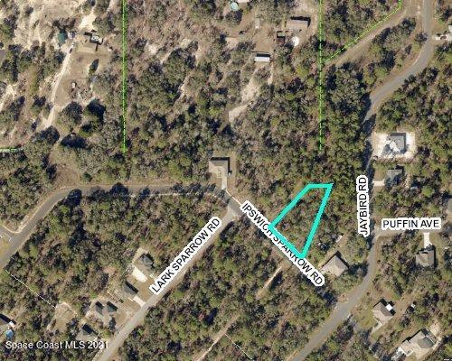 0 Ipswich Sparrow Road Weeki Wachee, FL 34614 - Photo 4 of 4 Ipswich Sparrow Rd lot 8