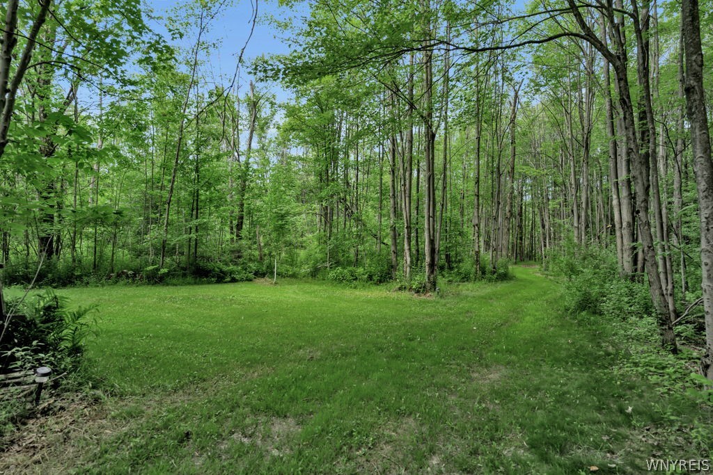 7700 Bleistein Road West Falls, NY 14170 - Photo 39 of 42