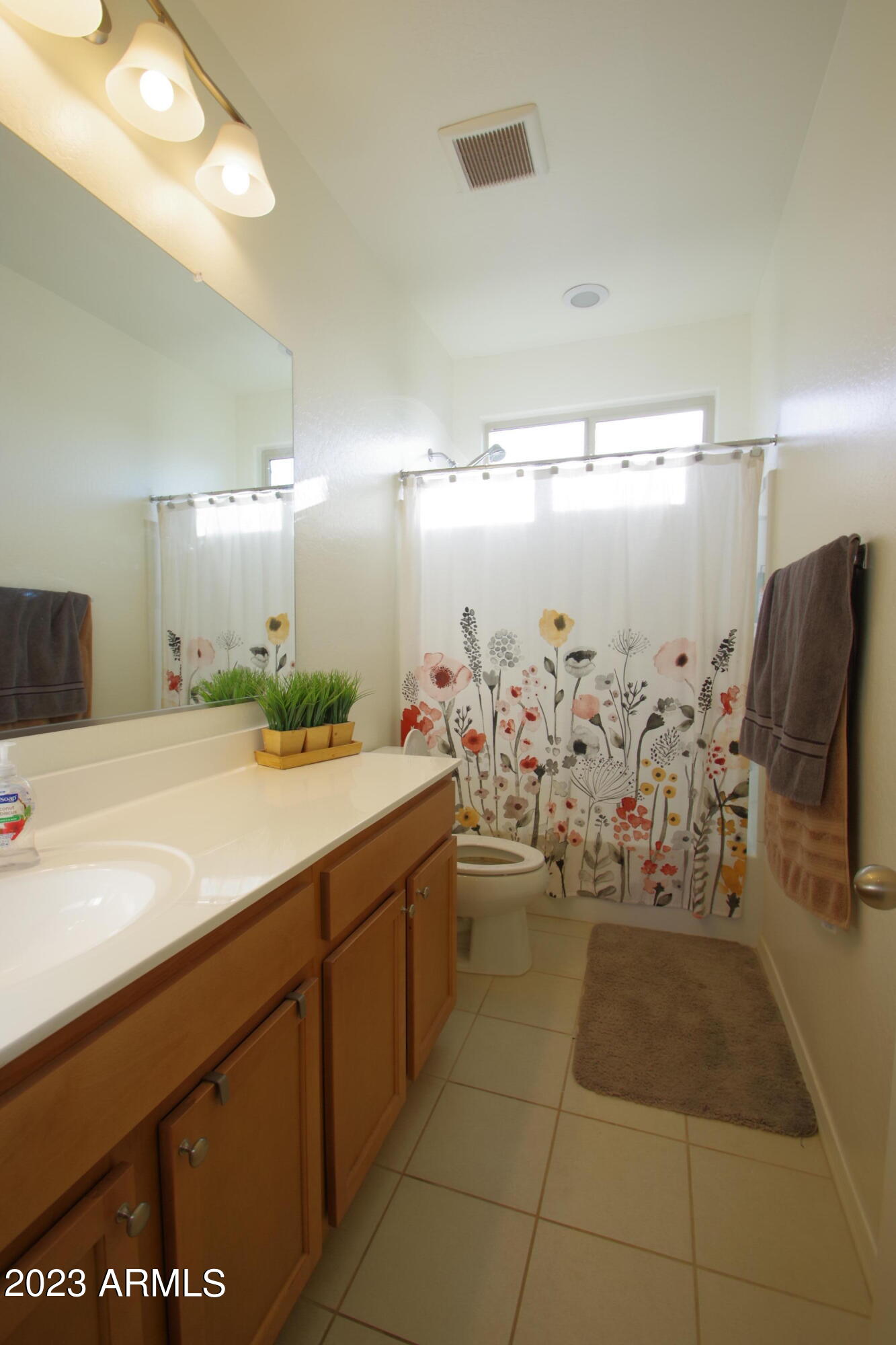 4134 West Coles Road Laveen, AZ 85339 - Photo 20 of 24 Bath 2