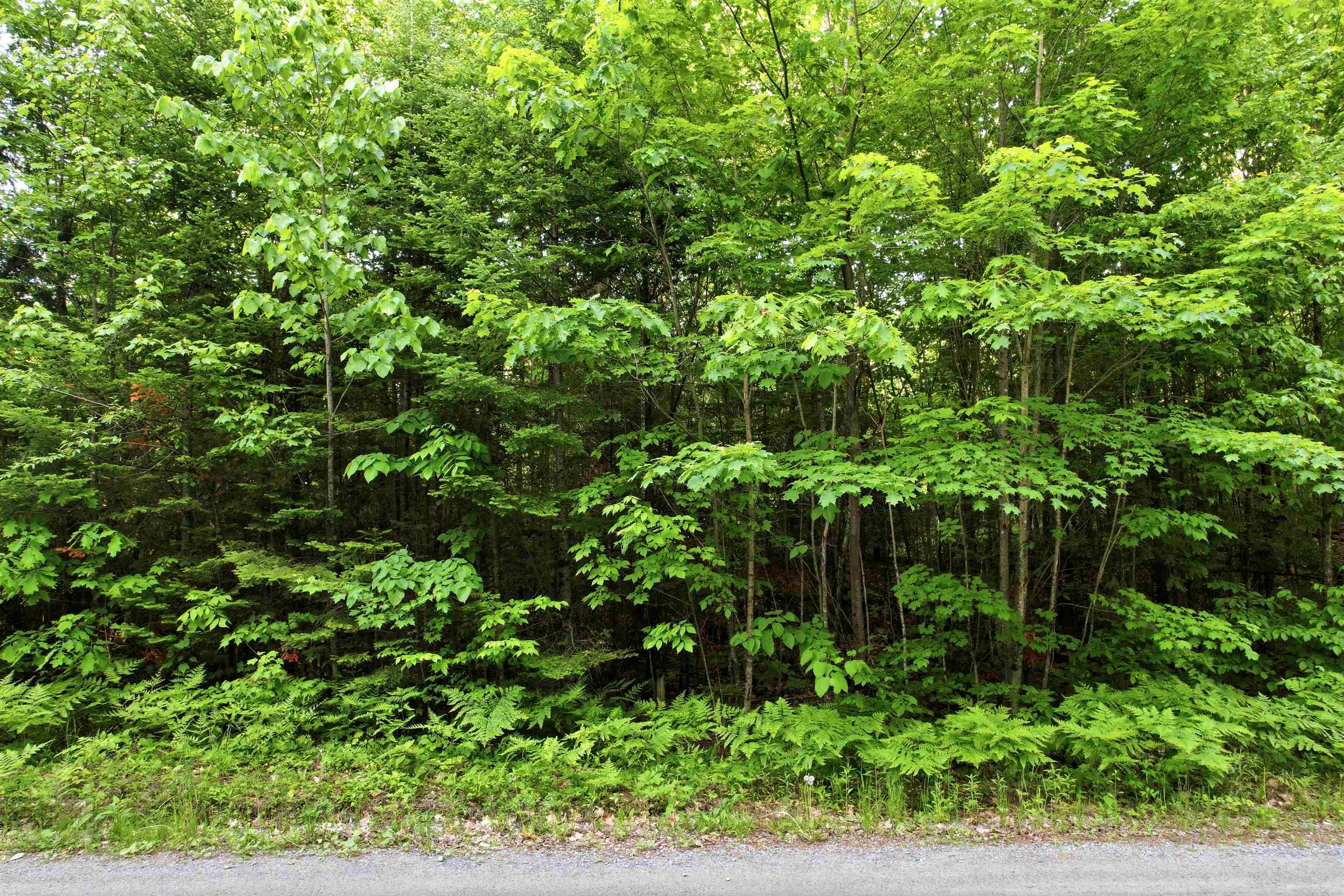 0 Porter Road Bath, NH 03740 - Photo 14 of 18