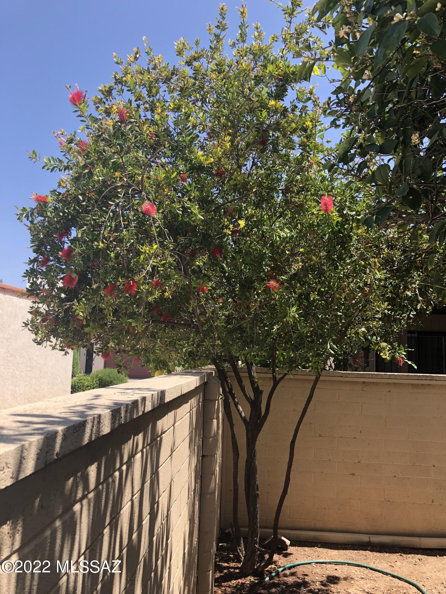 7649 East Mabel Street Tucson, AZ 85715 - Photo 4 of 24
