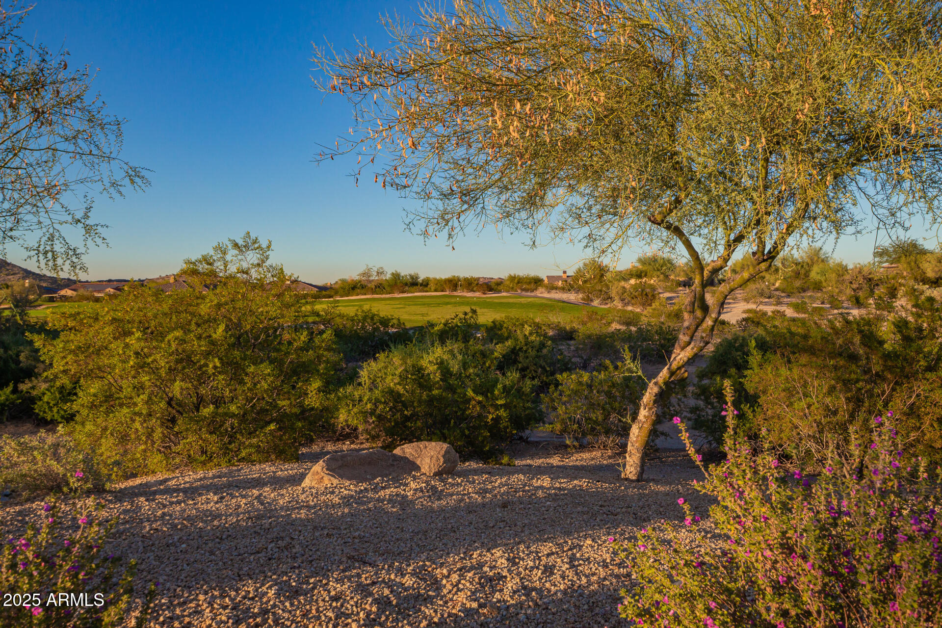 18115 West Desert View Lane Goodyear, AZ 85338 - Photo 40 of 57 a view of a yard with a tree