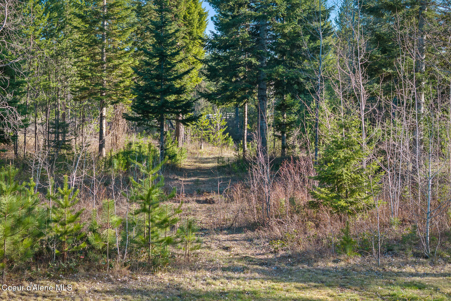 1562 West Laramie Avenue Rathdrum, ID 83858 - Photo 42 of 44 Aerial_1562WLaramieAve-8