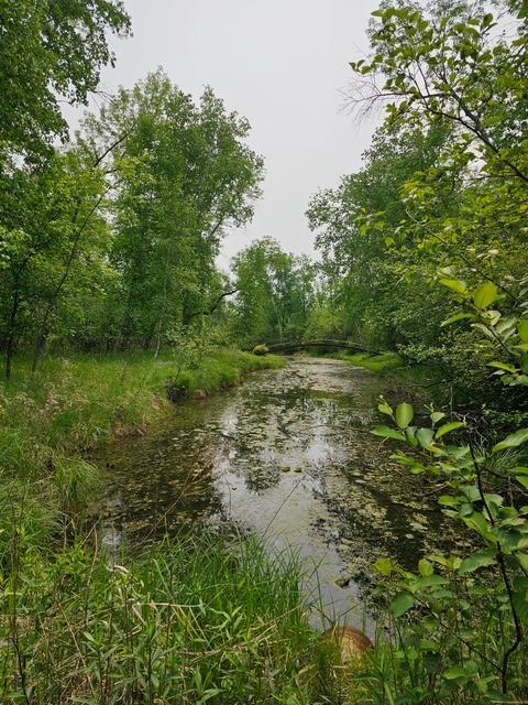 18286 Johnson Road North Brainerd, MN 56401 - Photo 63 of 113