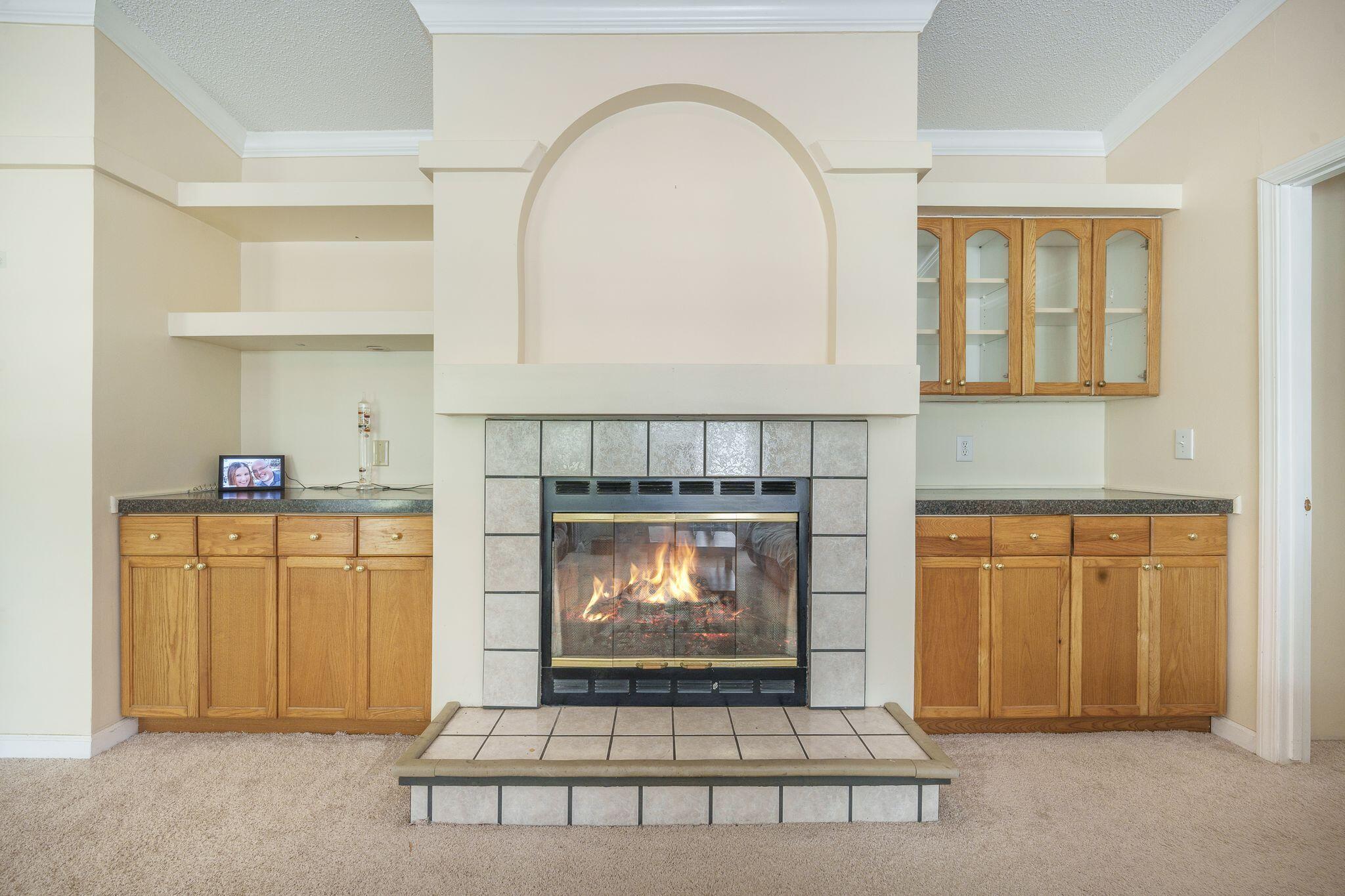 1090 Limerick Lane Manning, SC 29102 - Photo 12 of 47 Wood Burning Fireplace and Built-Ins
