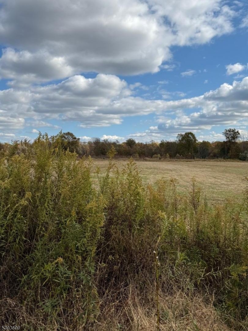 550 Barbertown Point Breeze Road Flemington, NJ 08822 - Photo 8 of 10 a view of lake and mountain