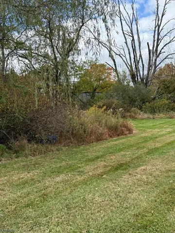 a view of a field with trees