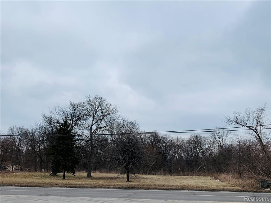0 Middlebelt Road Romulus, MI 48174 - Photo 12 of 15