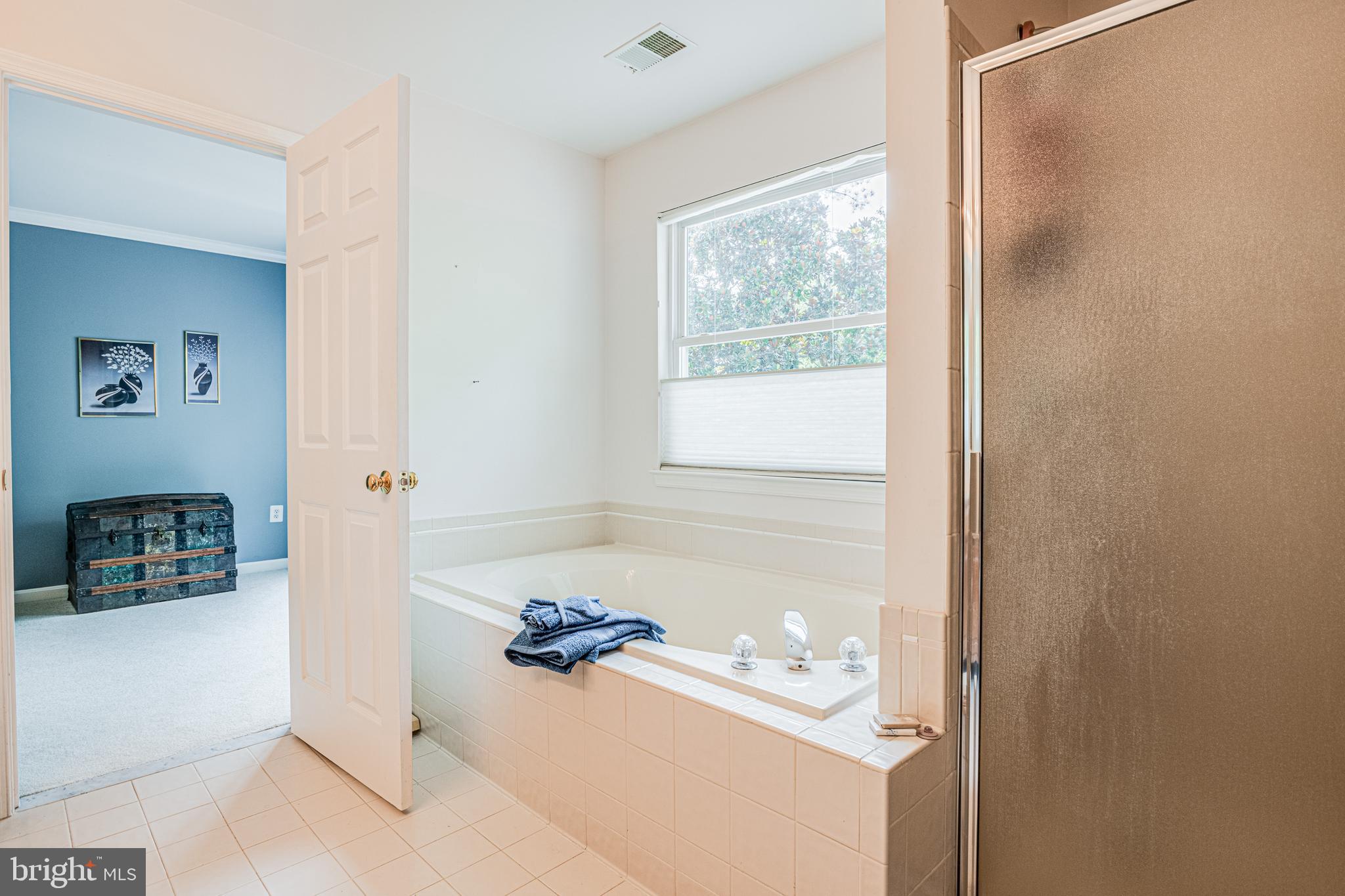 106 Indian Point Road Stafford, VA 22554 - Photo 29 of 58 Soaking Tub and Shower