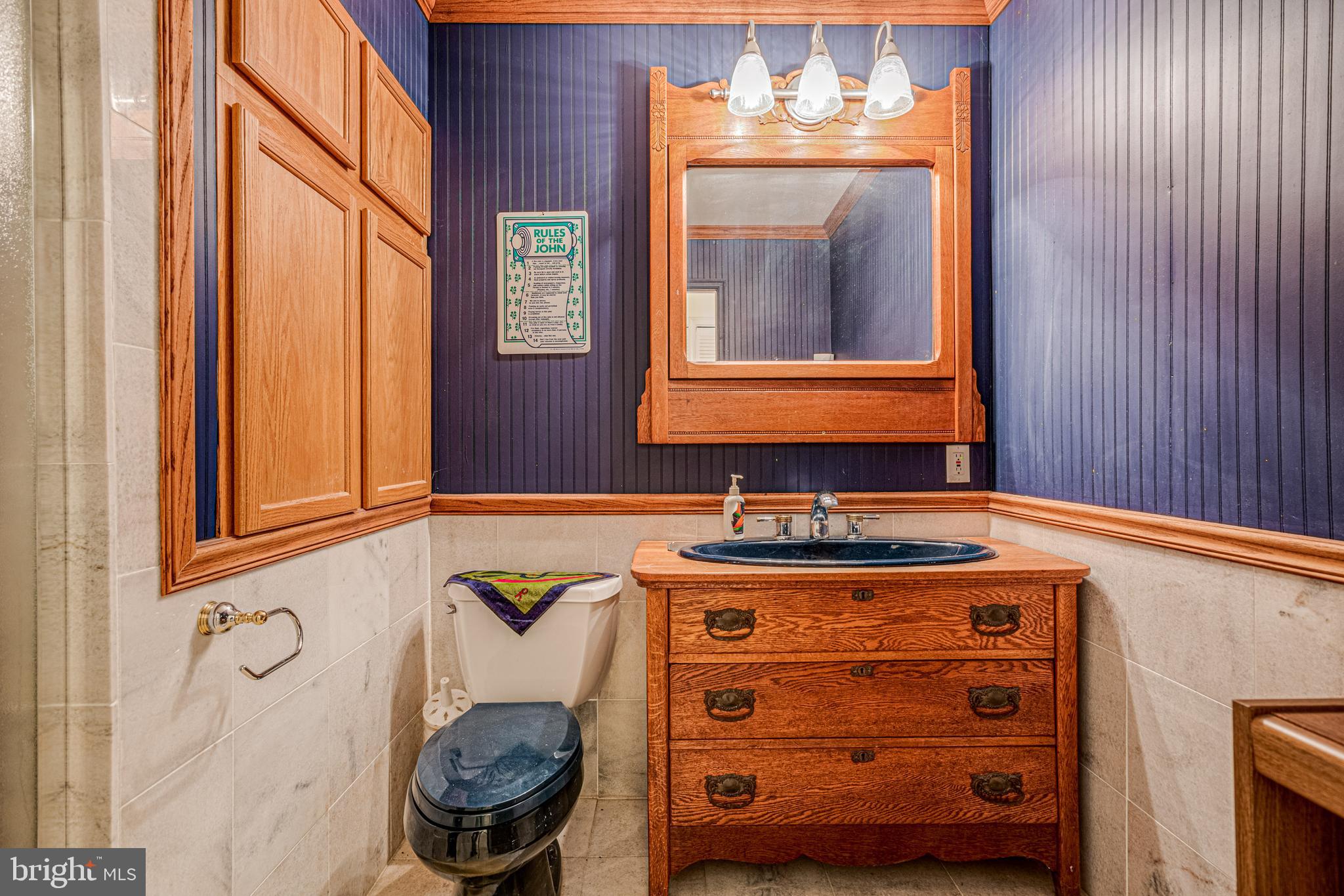 106 Indian Point Road Stafford, VA 22554 - Photo 33 of 58 Lower Level Bath with Shower