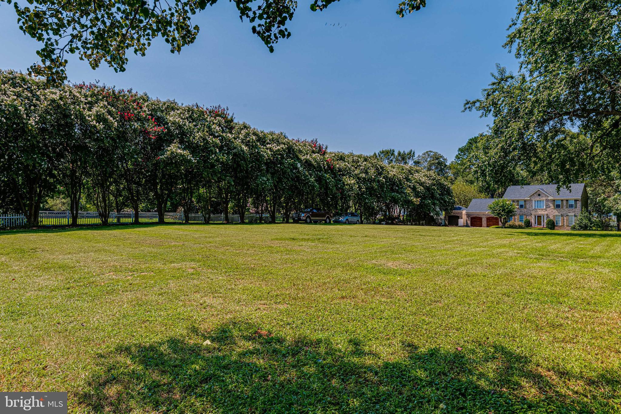106 Indian Point Road Stafford, VA 22554 - Photo 55 of 58 Driveway Lines With Red and White Crape Myrtles