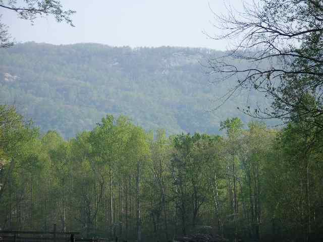 0 North Barton Road Taylors, SC 29687 - Photo 1 of 1 Gallery Image 1