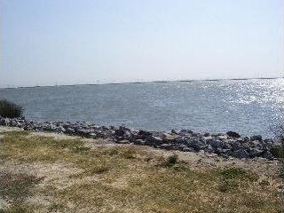 0 East Sherman Island Levee Road Isleton, CA 95641 - Photo 1 of 3 Gallery Image 1