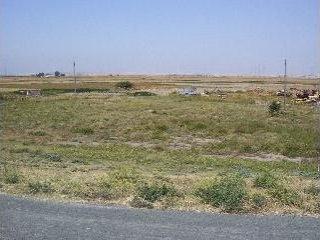 0 East Sherman Island Levee Road Isleton, CA 95641 - Photo 2 of 3 Gallery Image 2