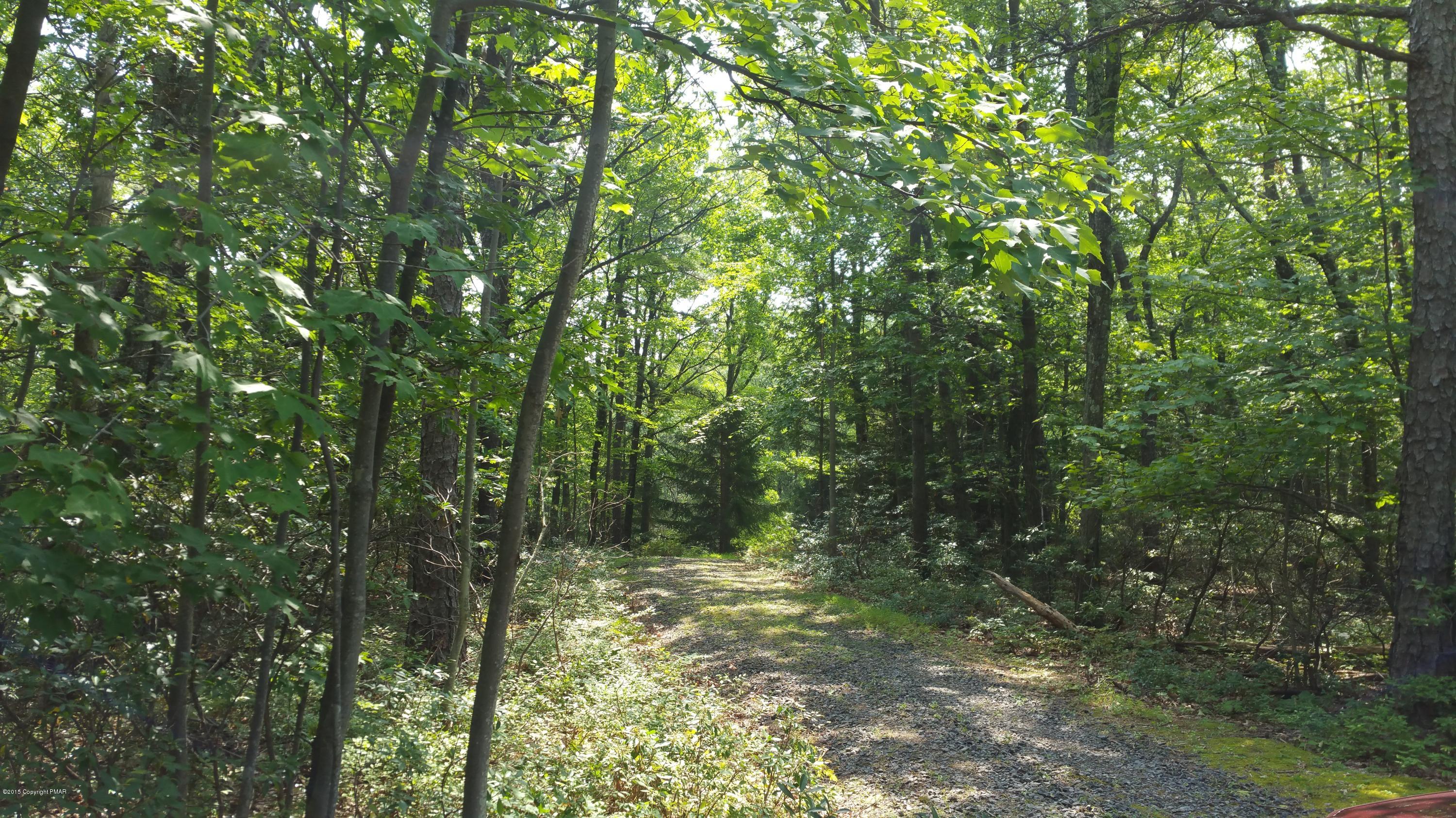 2728 Jackson Road Stroudsburg, PA 18360 - Photo 2 of 3 a view of forest