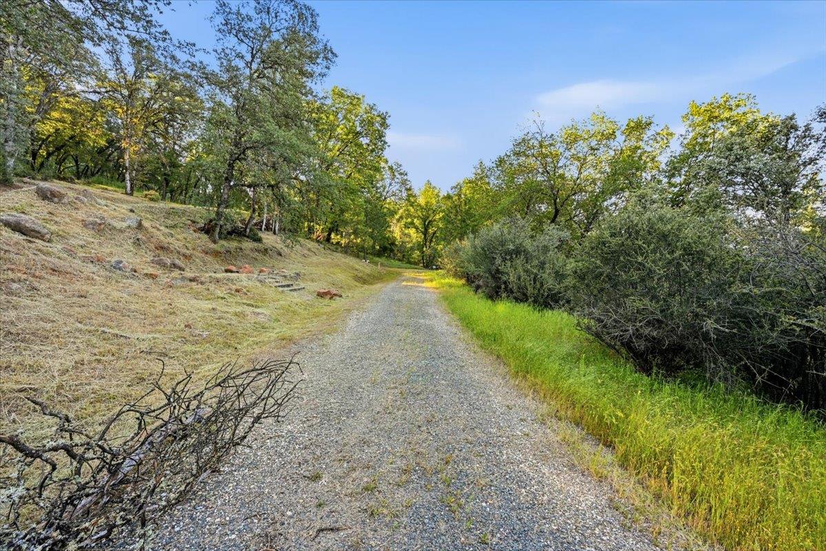 16095 Auburn Road Grass Valley, CA 95949 - Photo 8 of 20