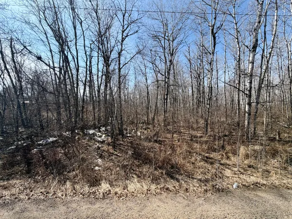 $25,000 | Tbd 1st Avenue North, Hibbing, MN 55746