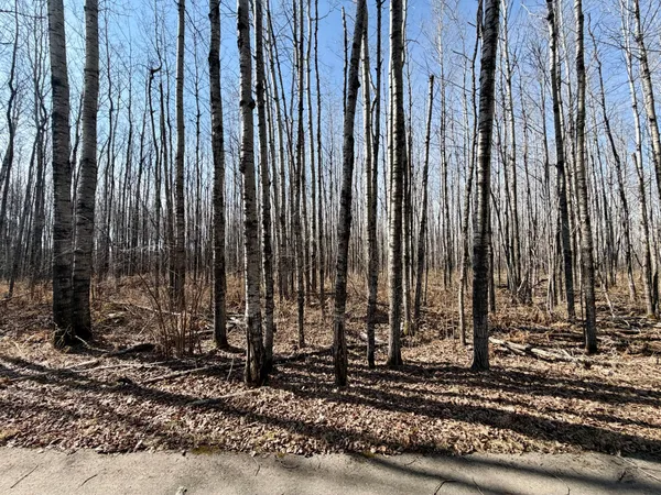 $25,000 | Tbd 1st Avenue North, Hibbing, MN 55746