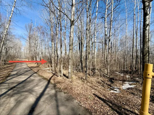 $25,000 | Tbd 1st Avenue North, Hibbing, MN 55746