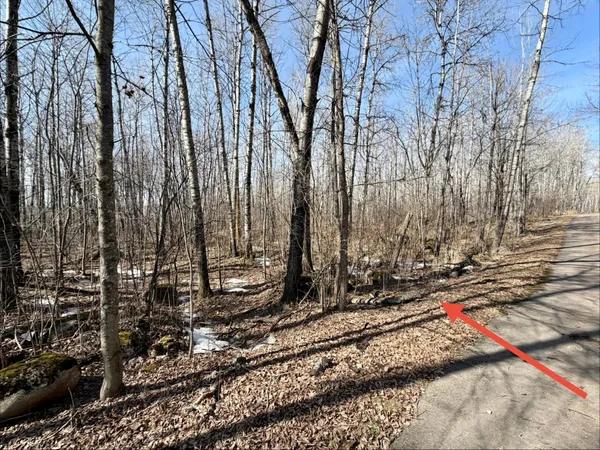 $25,000 | Tbd 1st Avenue North, Hibbing, MN 55746