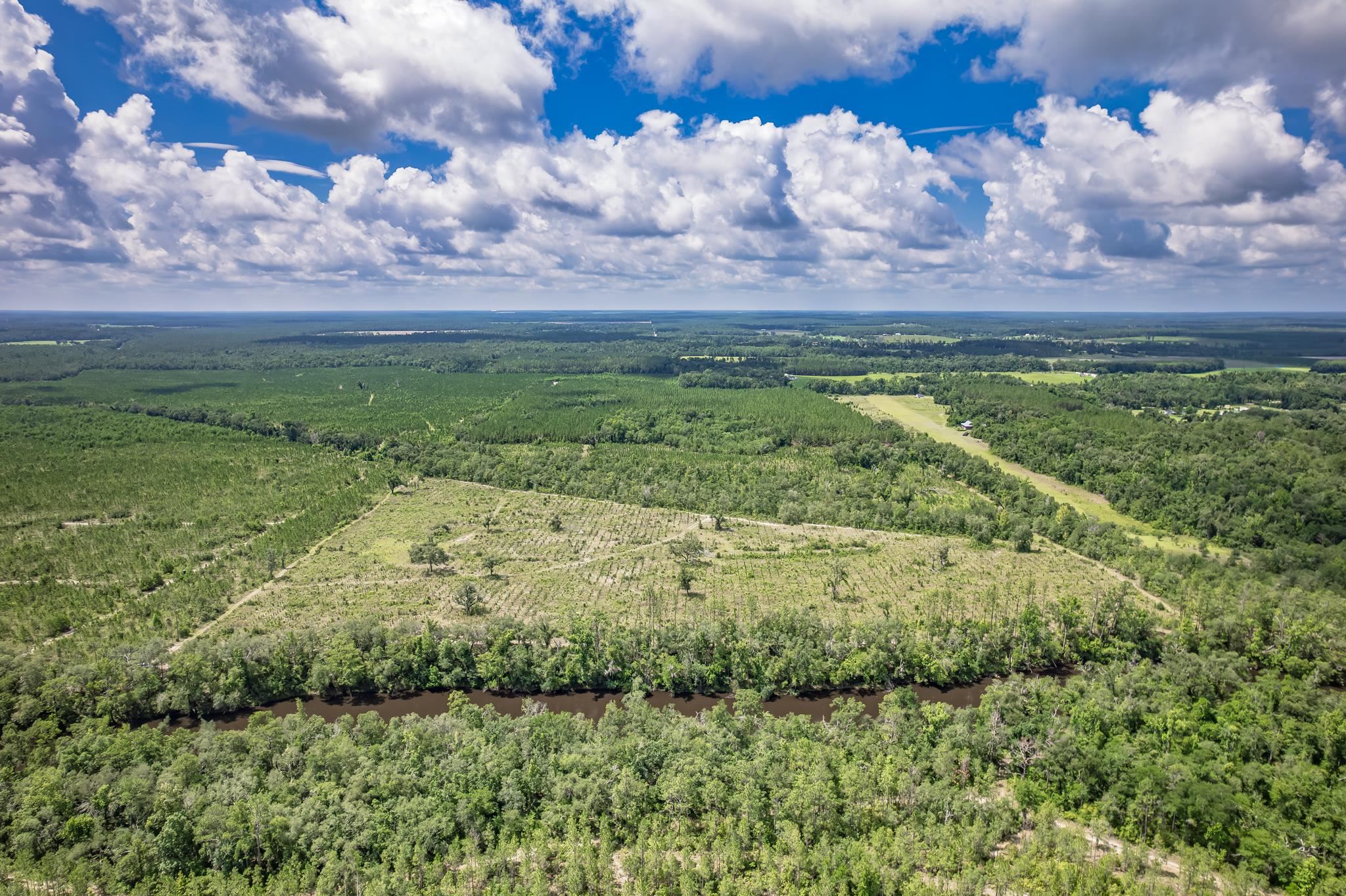 Xxx Northeast Hickory Grove Road Pinetta, FL 32350 - Photo 27 of 32