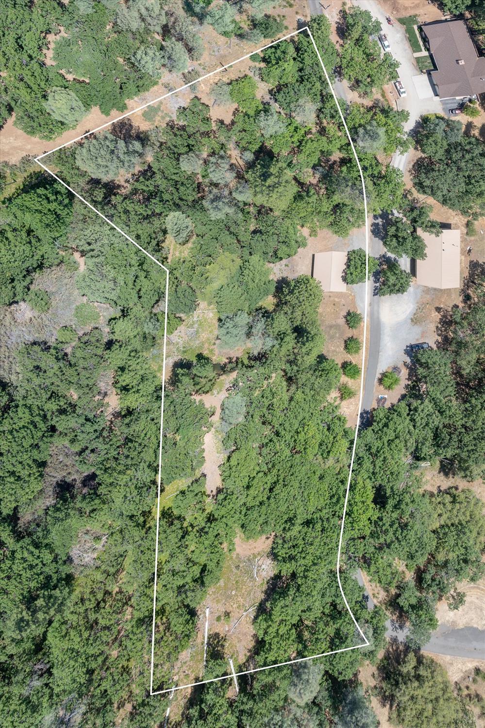 5502 Tonapah Road Murphys, CA 95247 - Photo 4 of 15