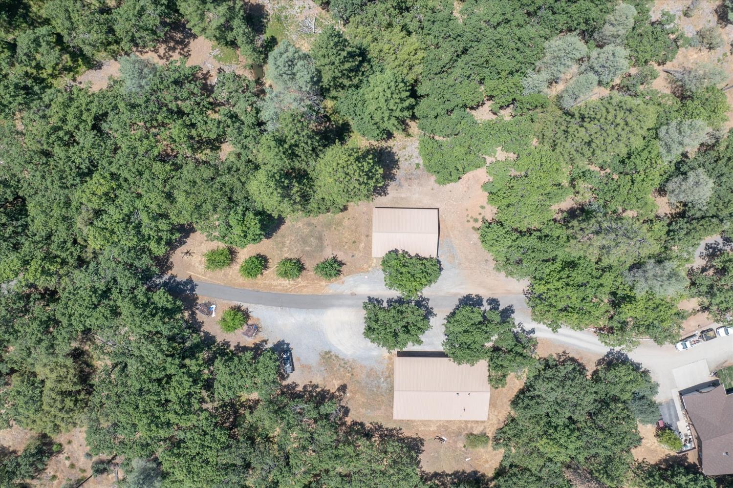 5502 Tonapah Road Murphys, CA 95247 - Photo 7 of 15