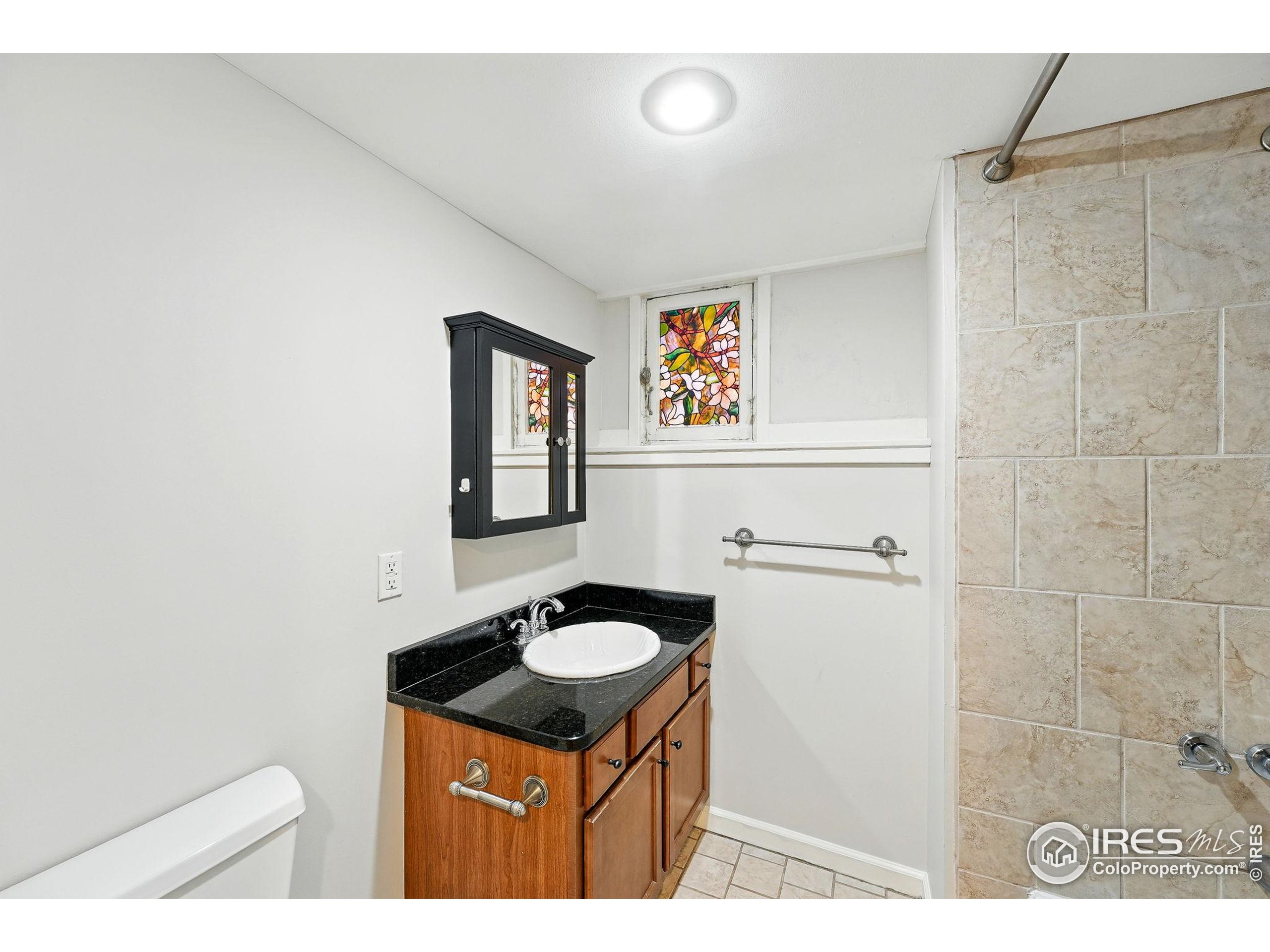1582 Steele Street Denver, CO 80206 - Photo 37 of 48 a bathroom with a sink a mirror and a toilet